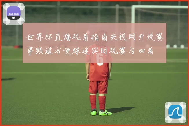 世界杯直播观看指南央视网开设赛事频道方便球迷实时观赛与回看