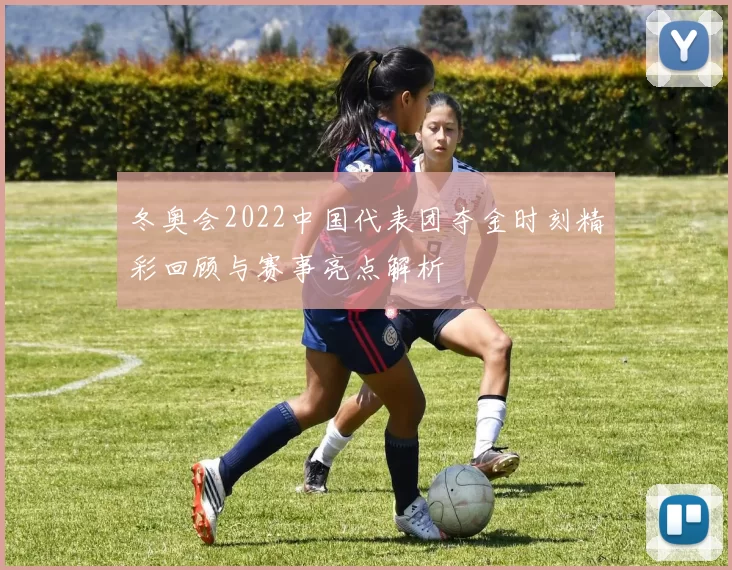 冬奥会2022中国代表团夺金时刻精彩回顾与赛事亮点解析